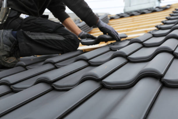 Best Roof Maintenance and Cleaning  in Allen Park, MI